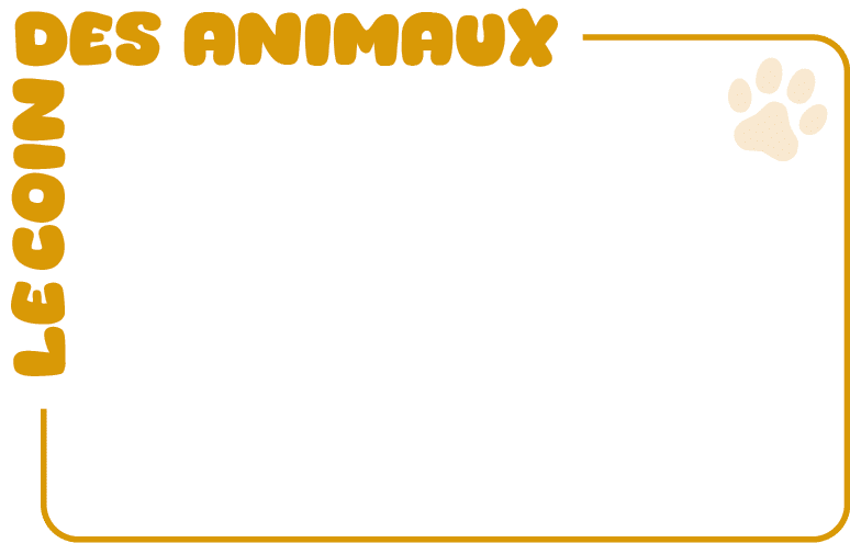 des animaux﻿﻿,Le coin ﻿