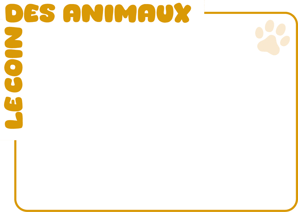 des animaux﻿﻿,Le coin ﻿